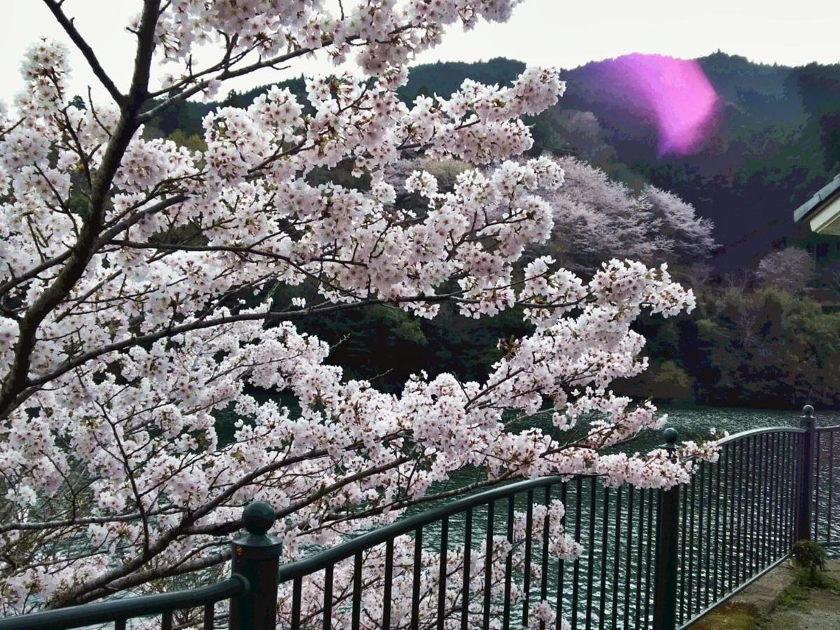 ホテル もみじ川温泉 Naka エクステリア 写真
